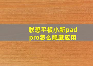 联想平板小新pad pro怎么隐藏应用